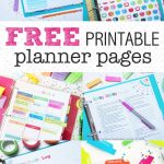 Free Printable Planners 2017   1.11.hus Noorderpad.de •   Free Printable Planner 2017