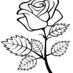 Free Printable Roses Coloring Pages For Kids | 1Rosez | Flower   Free Printable Roses