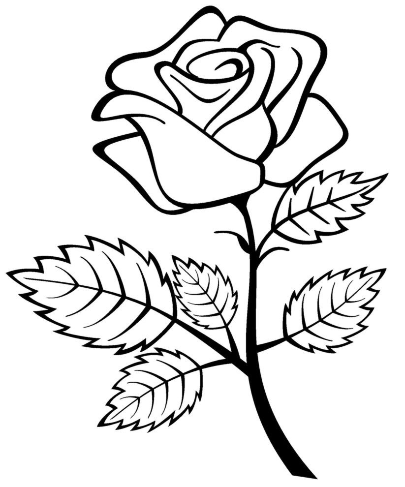Free Printable Roses Coloring Pages For Kids | 1Rosez | Flower - Free Printable Roses