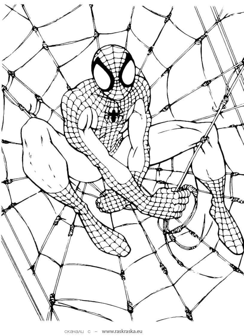 Free Printable Spiderman Coloring Pages For Kids | Home Furniture - Free Printable Spiderman Coloring Pages