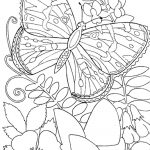 Free Printable Spring Coloring Pages For Adults   Coloring Home   Free Printable Spring Coloring Pages For Adults
