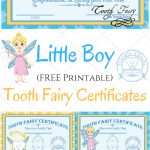 Free Printable Tooth Fairy Certificates | Kid's Boy/girl Stuff   Free Printable Tooth Fairy Certificate