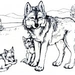 Free Printable Wolf Coloring Pages For Kids | Eden | Pinterest   Free Printable Realistic Animal Coloring Pages