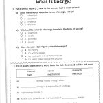 Free Printable Worksheets For 3Rd Grade Science – Worksheet Template   Free Printable Science Worksheets