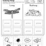 Freebie! No Prep Kindergarten Science Doodle Printables | T E A C H   Free Printable Science Worksheets