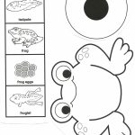 Frog Life Cycle.pdf   Google Drive | School Ideas | Pinterest | Frog   Life Cycle Of A Frog Free Printable Book