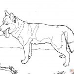 German Shepherd Dogs Coloring Page Free Printable Coloring Pages   Free Printable Dog Coloring Pages