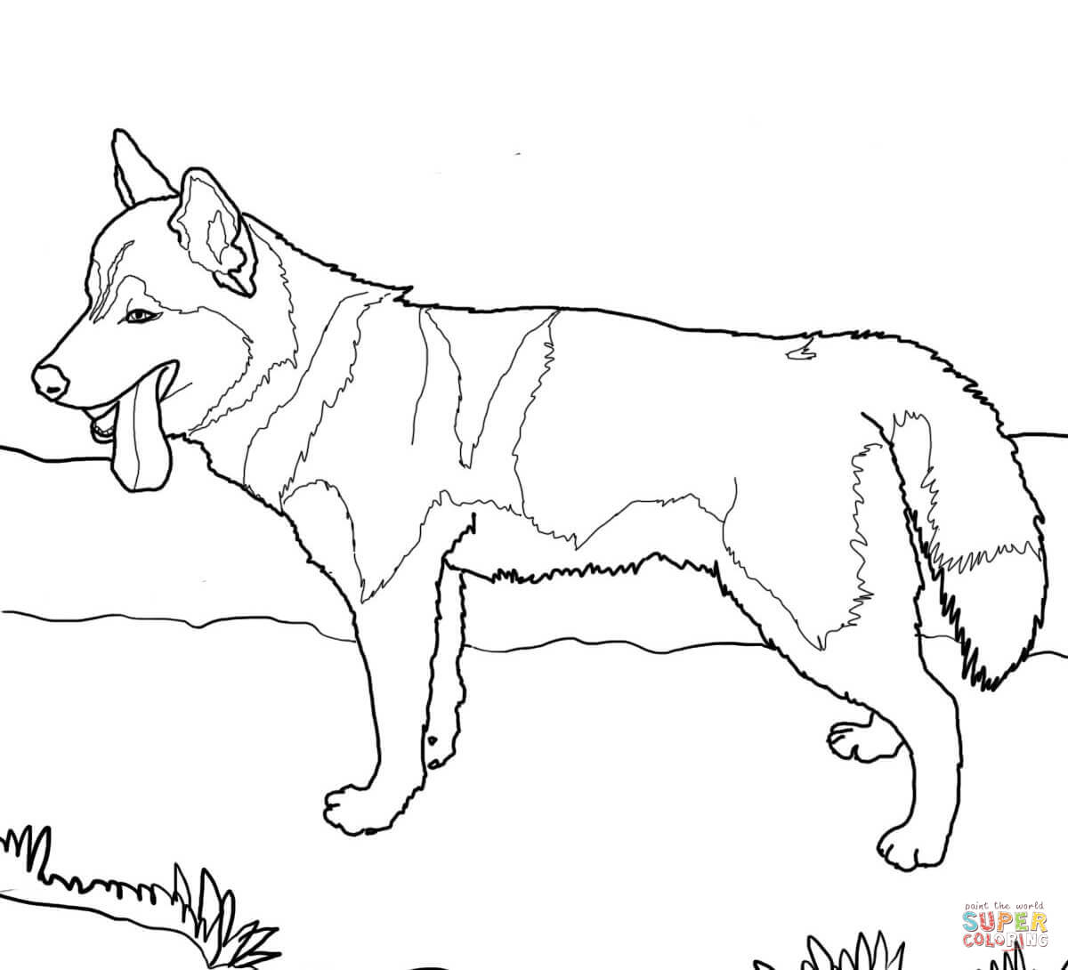 German Shepherd Dogs Coloring Page Free Printable Coloring Pages - Free Printable Dog Coloring Pages
