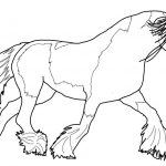 Gypsy Vanner Horse Coloring Page | Free Printable Coloring Pages   Free Printable Horse Coloring Pages