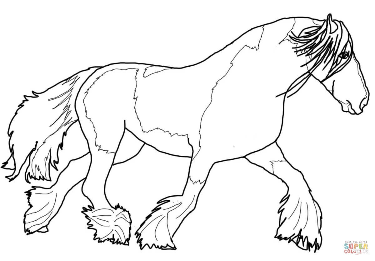 Gypsy Vanner Horse Coloring Page | Free Printable Coloring Pages - Free Printable Horse Coloring Pages