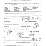 Health Worksheets Health Problems Quiz Health Worksheets For High   Free Printable Health Worksheets For Middle School