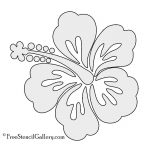 Hibiscus Flower Stencil | Free Stencil Gallery | Stencils   Free Printable Flower Stencils