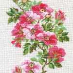 Horse. Free Cross Stitch Pattern | Better Cross Stitch   Free Printable Cross Stitch Patterns Flowers