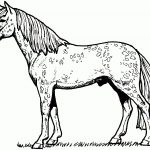 Horses Coloring Pages | Free Coloring Pages   Free Printable Horse Coloring Pages