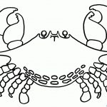 Horseshoe Crab Coloring Pages | Nice Coloring Pages For Kids   Free Printable Horseshoe Coloring Pages