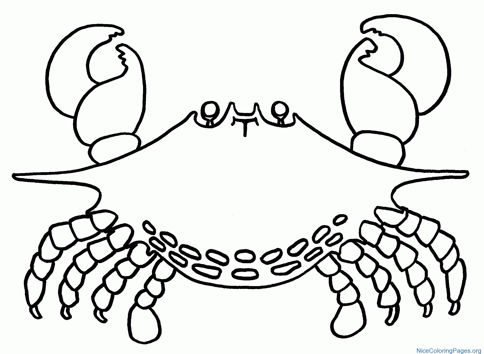 Horseshoe Crab Coloring Pages | Nice Coloring Pages For Kids - Free Printable Horseshoe Coloring Pages