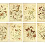 Jodie Lee Designs: Free Printable: Butterfly Garden Gift Tags!   Free Printable Butterfly