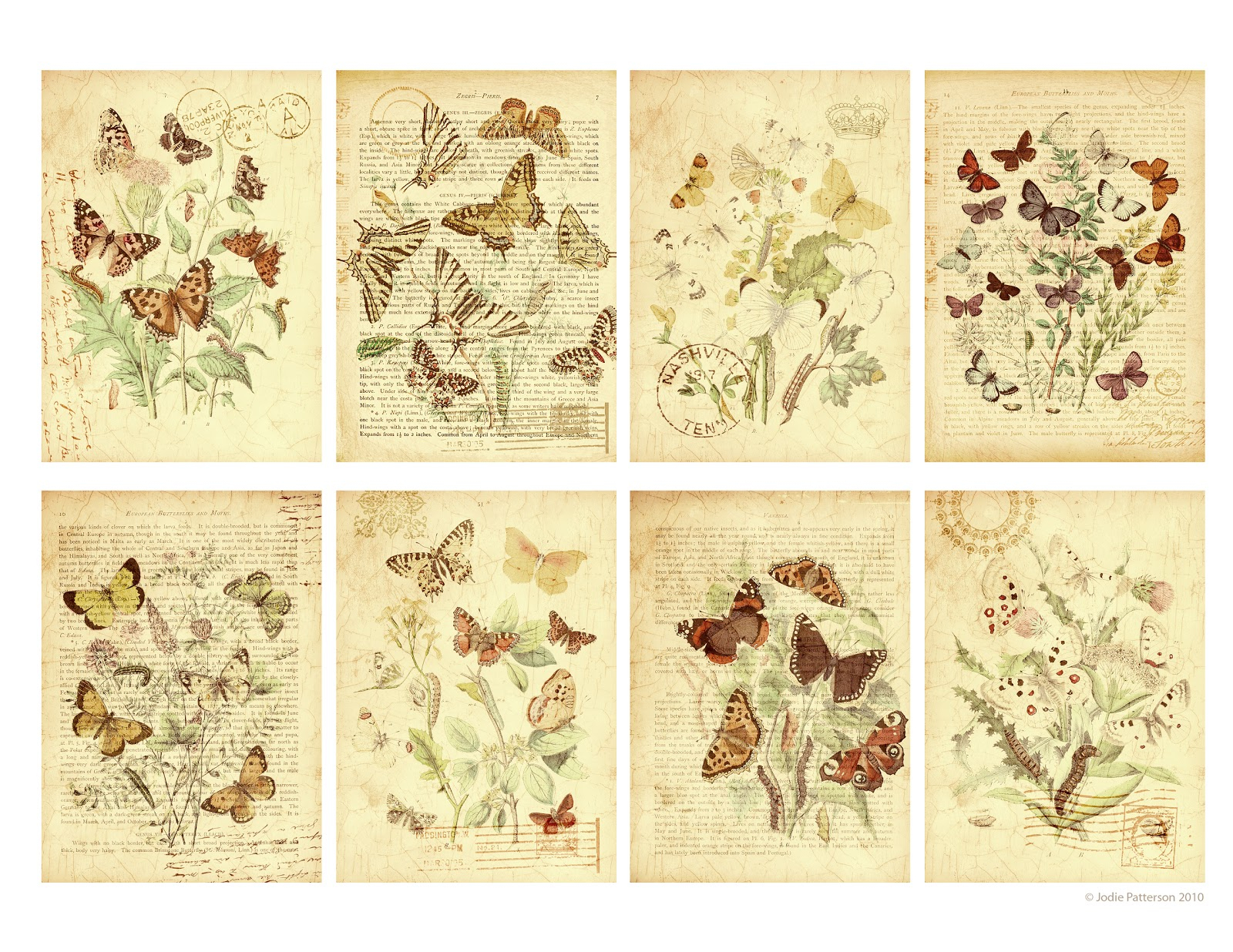 Jodie Lee Designs: Free Printable: Butterfly Garden Gift Tags! - Free Printable Butterfly