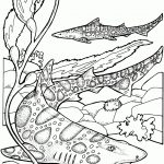 Leopard Sharks Coloring Page | Free Printable Coloring Pages   Free Printable Shark Coloring Pages
