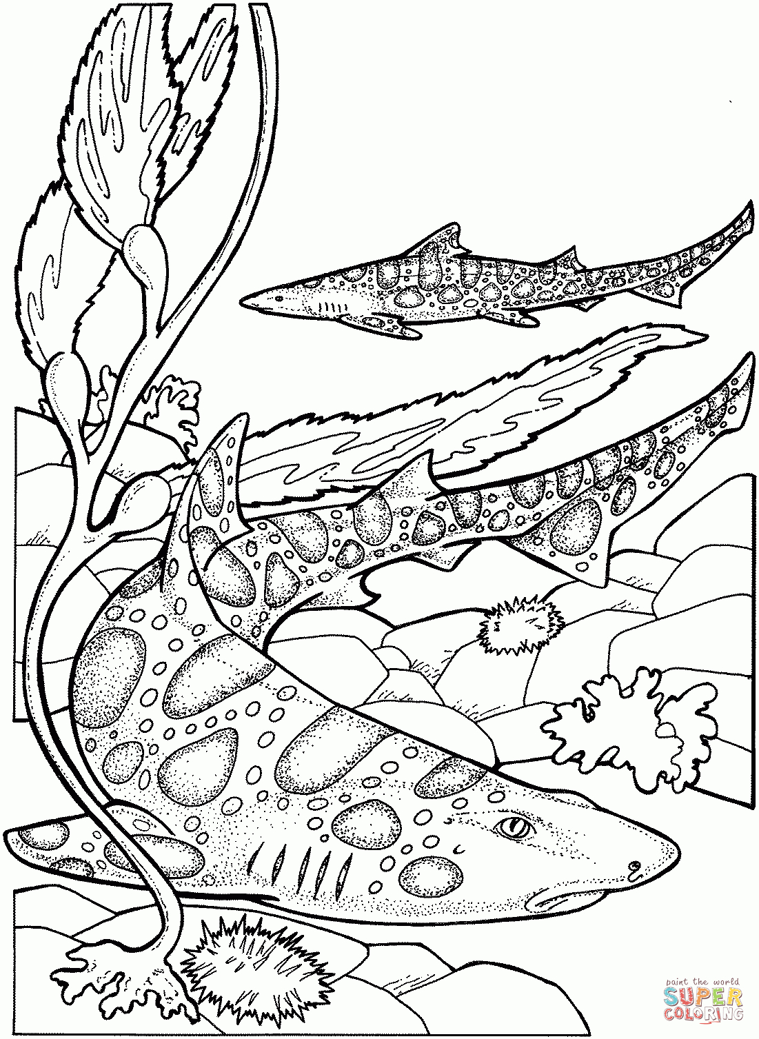 Leopard Sharks Coloring Page | Free Printable Coloring Pages - Free Printable Shark Coloring Pages