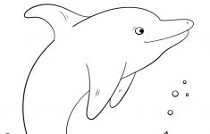 Letter D Is For Dolphin Coloring Page | Free Printable Coloring Pages – Dolphin Coloring Sheets Free Printable