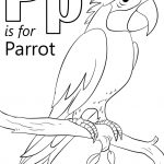 Letter P Is For Parrot Coloring Page | Free Printable Coloring Pages   Free Printable Parrot Coloring Pages