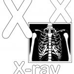 Letter X Alphabet Coloring Pages   3 Free Printable Versions   Free Printable Animal X Rays