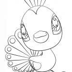 Littlest Pet Shop Peacock Coloring Page | Free Printable Coloring Pages   Littlest Pet Shop Free Printable Coloring Pages