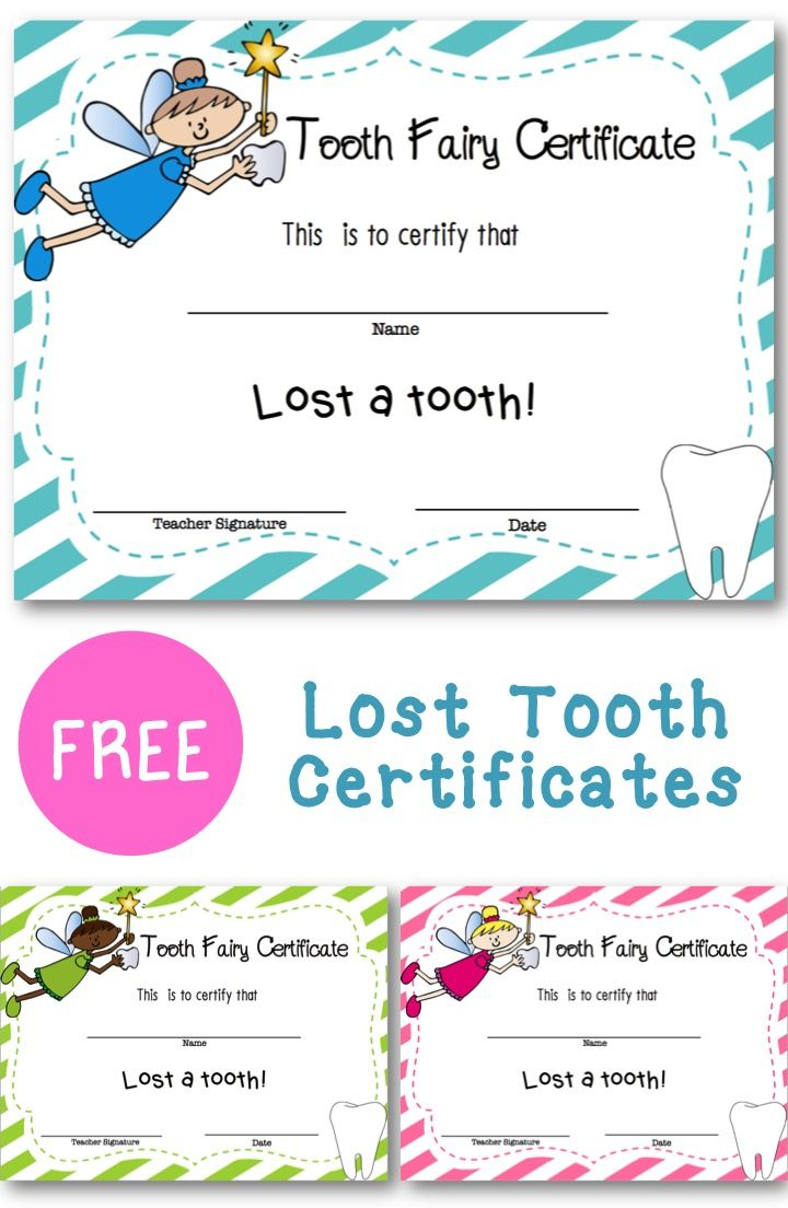Lost Tooth Certificate | New England Teacher | Teaching First Grade - Free Printable Swimming Certificates For Kids