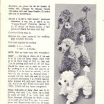 Marvelous Poodles To Knit And Crochet – Free Patterns   Free Printable Poodle Template