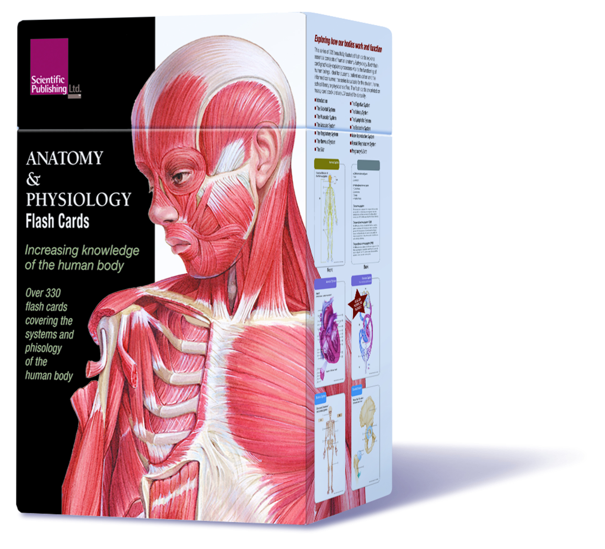Free Anatomy Coloring Book On Google college anatomy Cc Cycle 3 