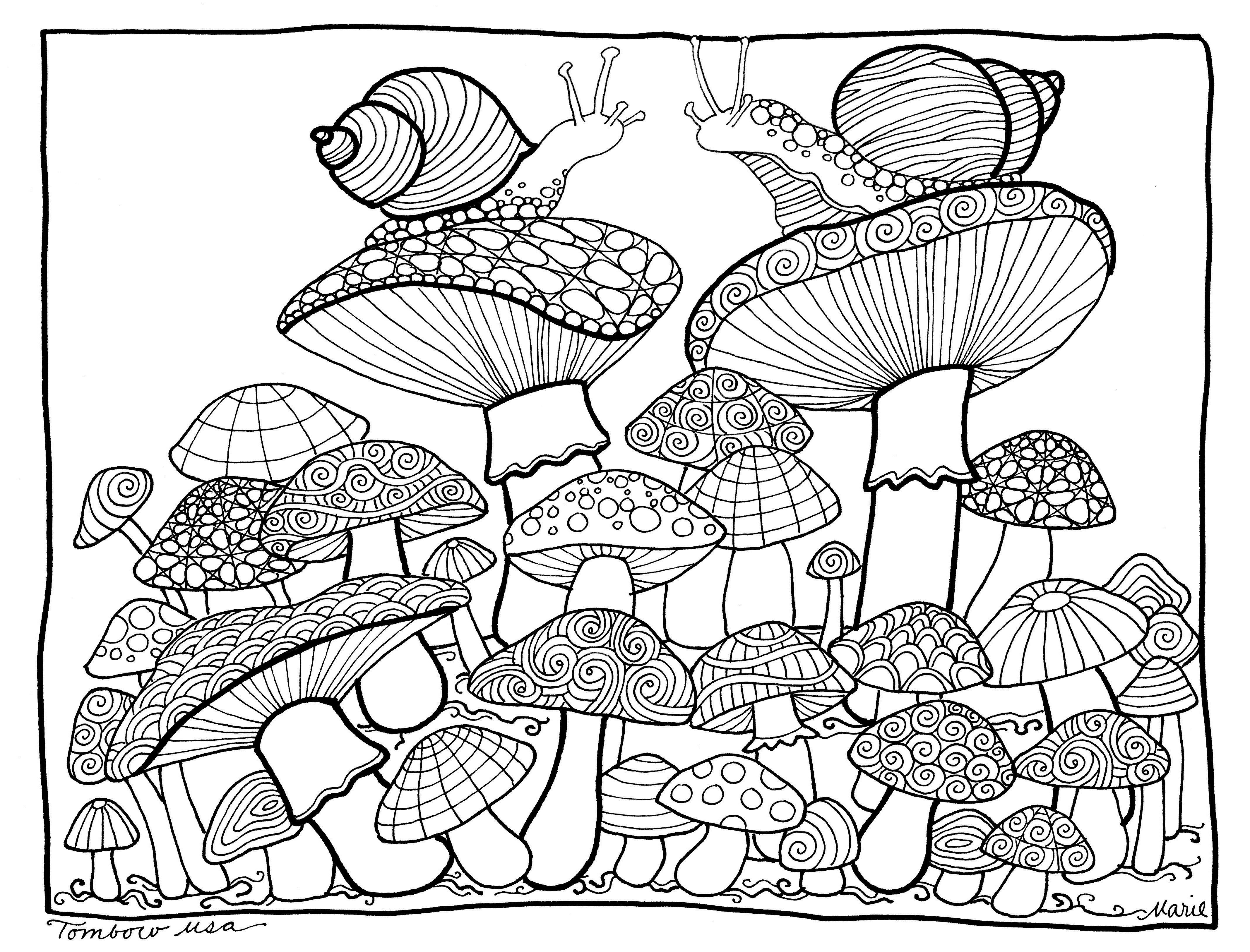Mushrooms Coloring Pagetombow Usa | Paper | Coloring Pages, Free - Free Printable Mushroom Coloring Pages