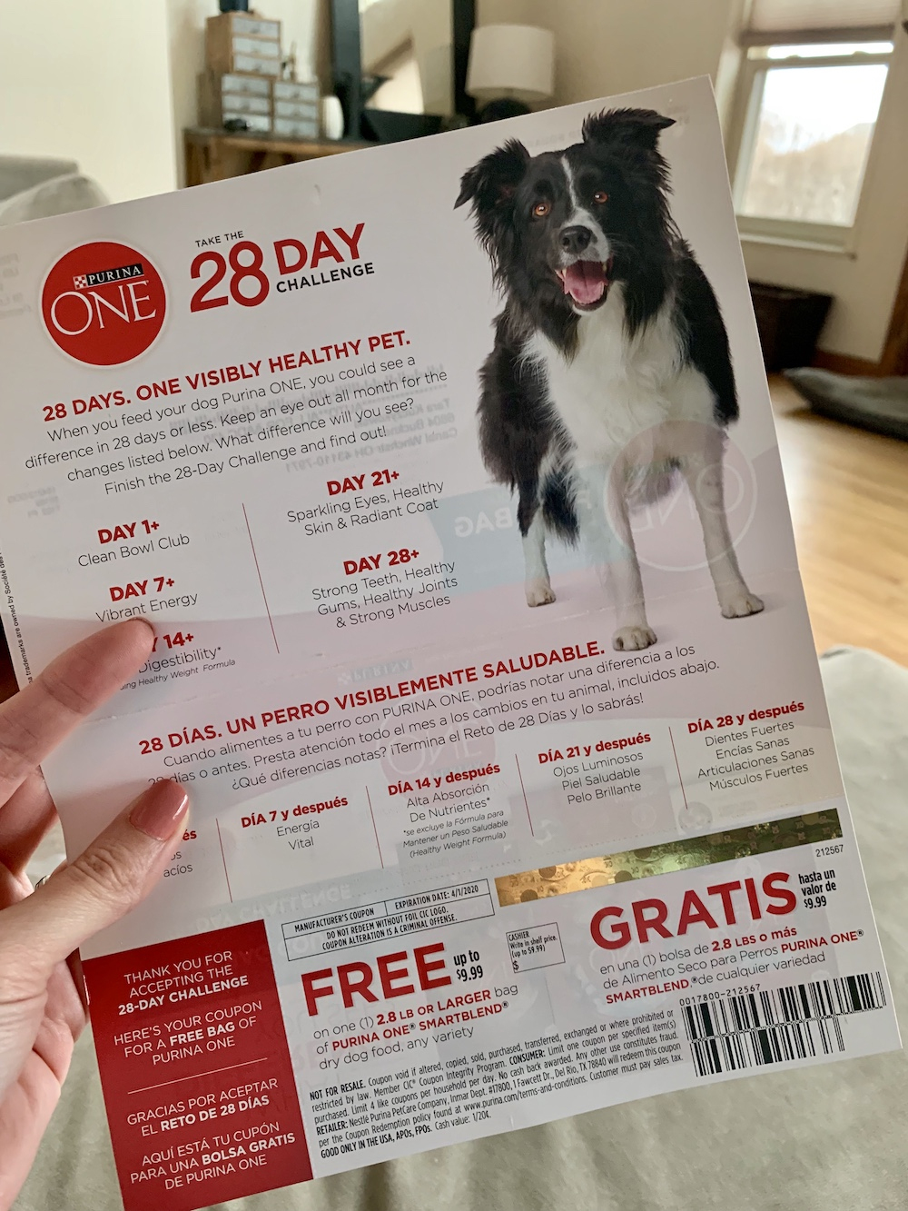 My Free Bag Of Purina One Dog Food Coupon Came Today! - Deal Seeking Mom - Free Printable Coupons For Purina One Dog Food