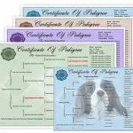 Online Pedigree Maker   Yolar.cinetonic.co In Free Printable Dog   Free Printable Dog Pedigree Generator