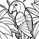 Parrot Coloring Pages #35552   Free Printable Parrot Coloring Pages
