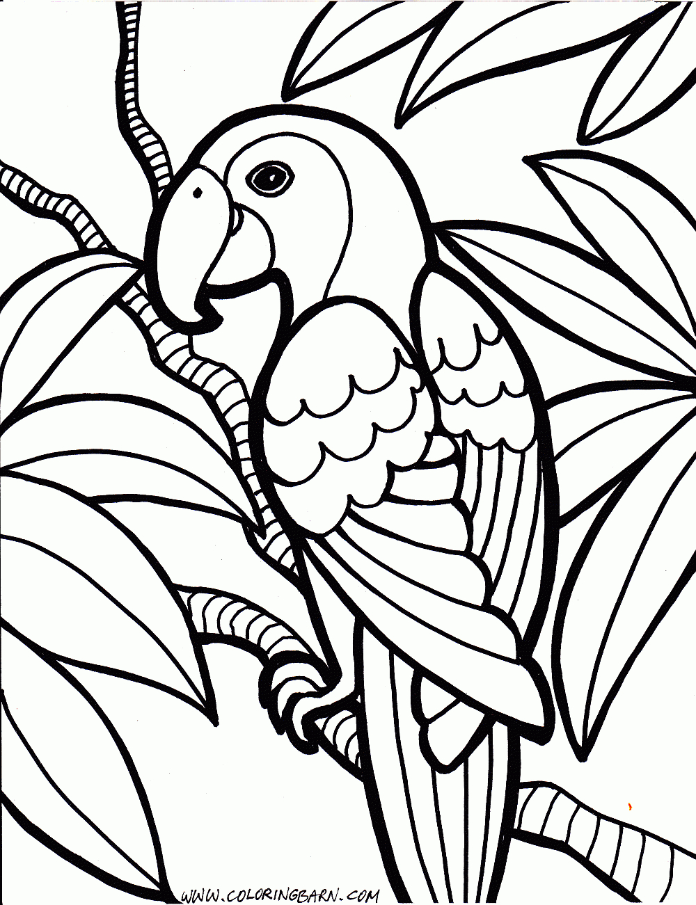 Parrot Coloring Pages | Cinderella | Pinterest | Jungle Coloring - Free Printable Parrot Coloring Pages
