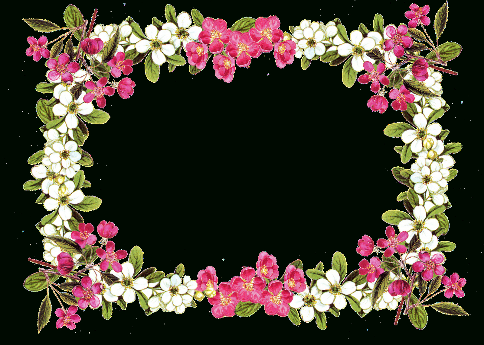 Pin Von Adele Gilmore Auf Wow | Pinterest | Blumenrahmen, Blumen Und - Free Printable Clip Art Flowers