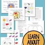 Plant And Animal Cell Printables Grades 4 6   Free Printable Cell Worksheets
