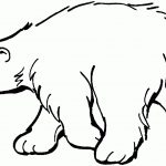 Polar Bears Coloring Page New Polar Bear To Color 9 Coloring Page   Polar Bear Printable Pictures Free