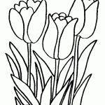 Printable Tulips Flower Coloring Pages | Watercolor | Pinterest   Free Printable Tulip Coloring Pages