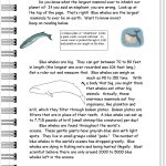 Reading Informational Text Worksheets   Free Printable Sequencing Worksheets 2Nd Grade