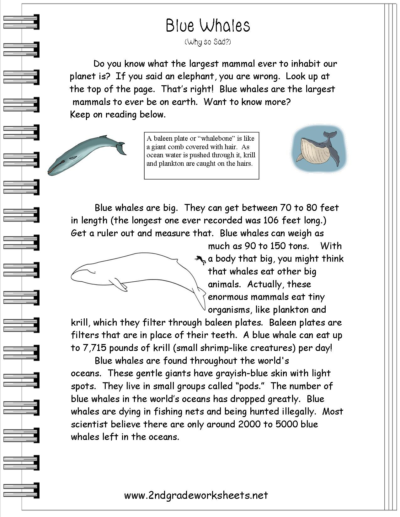 Reading Informational Text Worksheets - Free Printable Sequencing Worksheets 2Nd Grade
