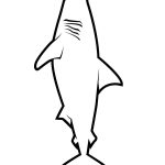 Realistic Great White Shark Coloring Page | Free Printable Coloring   Free Printable Shark Coloring Pages