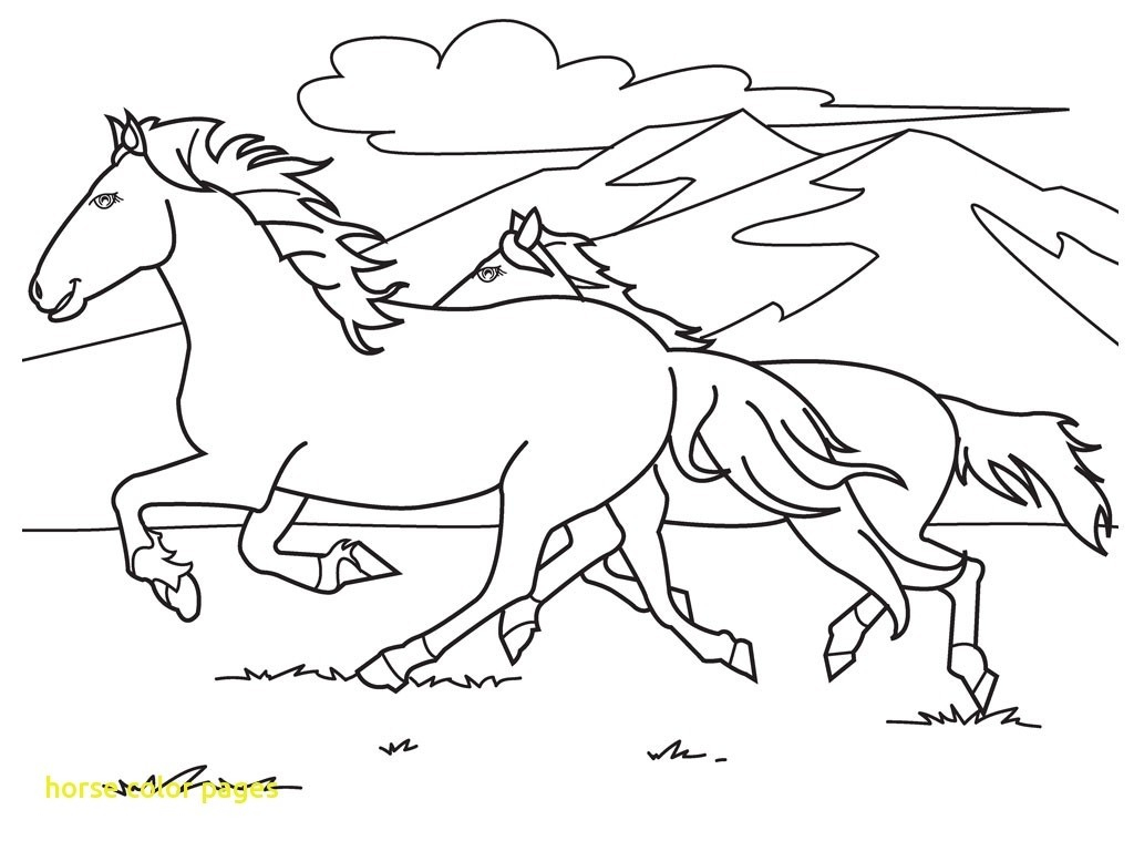 Running Horse Coloring Pages | Scagraduatecouncil - Free Printable Horse Coloring Pages