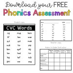 Sarah's First Grade Snippets: Phonics Assessments   Free Printable Phonics Assessments