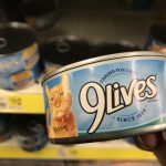 Save On 9Lives Cat Food With These Rare Printable Coupons   My Momma   Free Printable 9 Lives Cat Food Coupons