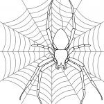 Spider On Its Web Coloring Page | Free Printable Coloring Pages   Free Printable Spider Web