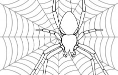 Spider On Its Web Coloring Page | Free Printable Coloring Pages – Free Printable Spider Web