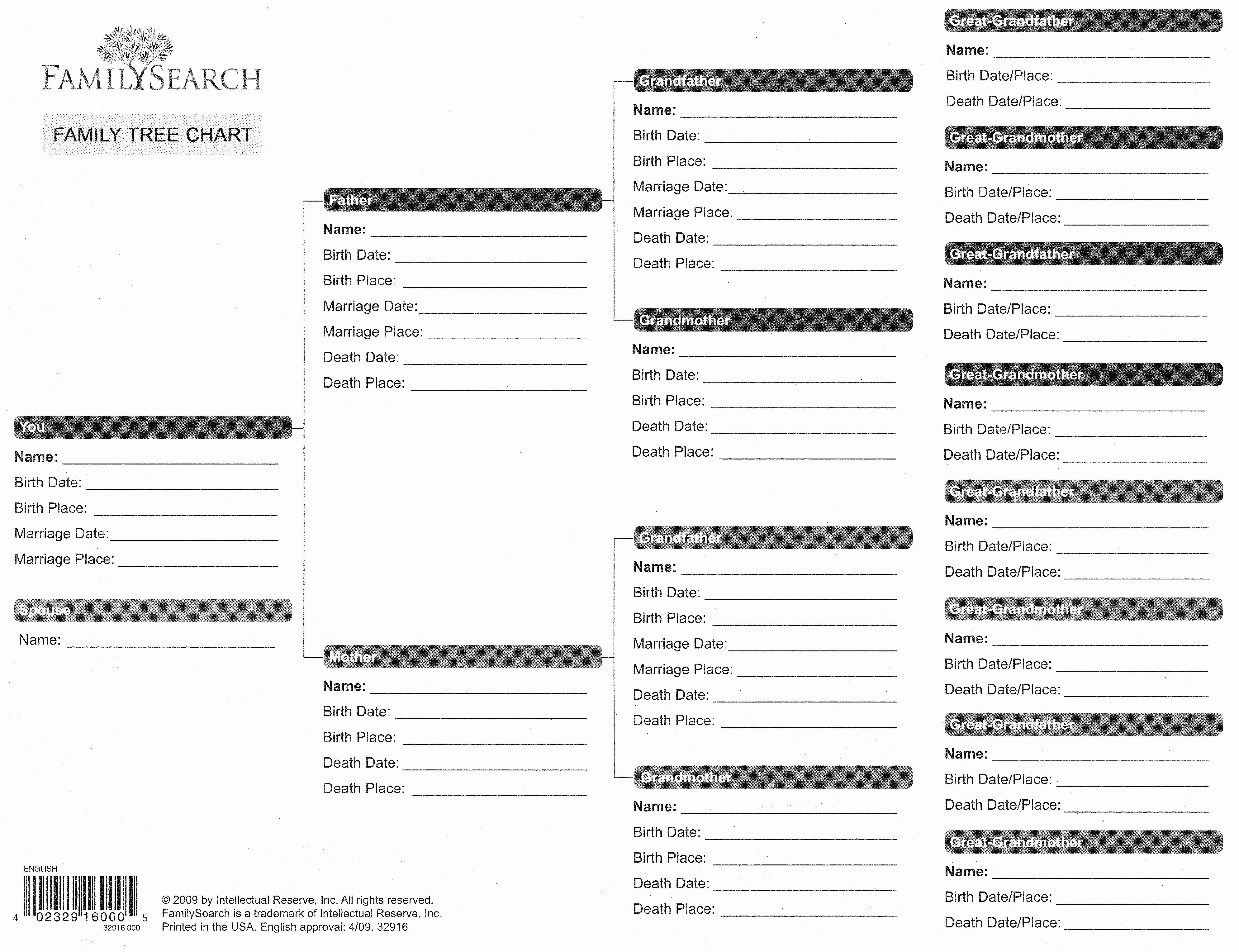 Templates For Family Tree Charts Beautiful Ancestry Forms Free - Free Printable Family History Forms
