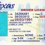 Texas Drivers License Template   Beepmunk   Free Printable Fake Drivers License